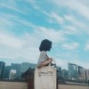 夏树繁花